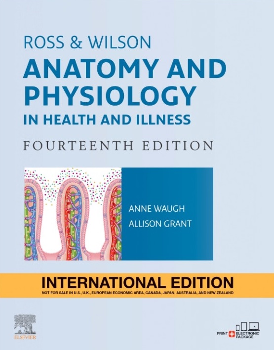 anatomy and physiology in health and illness